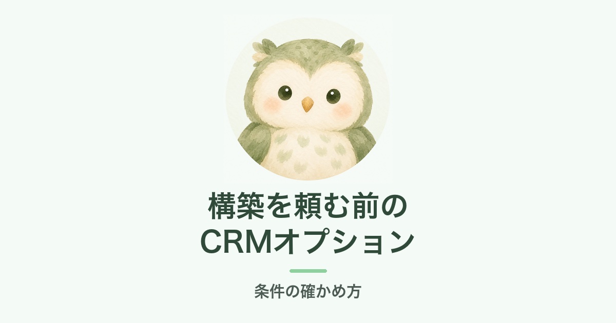 構築を頼む前のCRMオプション